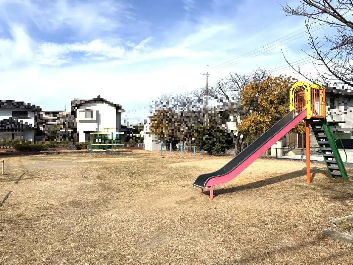 Slide 6