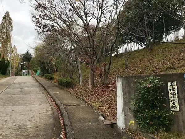 Slide 3