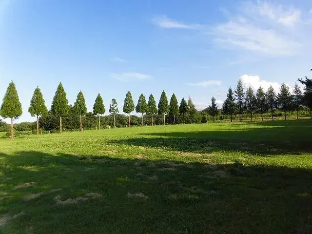 Slide 22