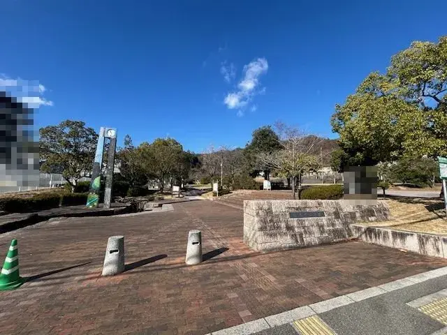 Slide 8