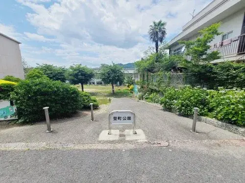 Slide 7