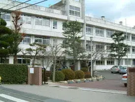 Slide 17