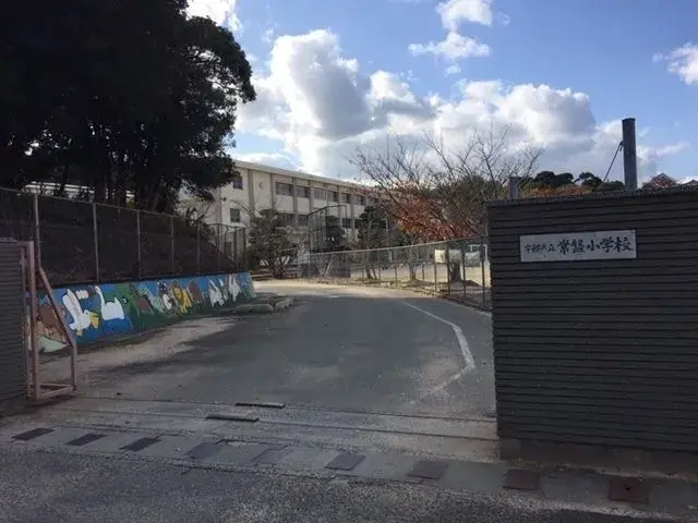 Slide 8