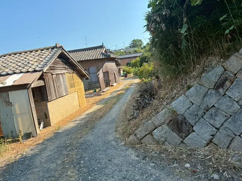 Slide 6