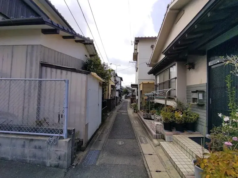 Slide 5