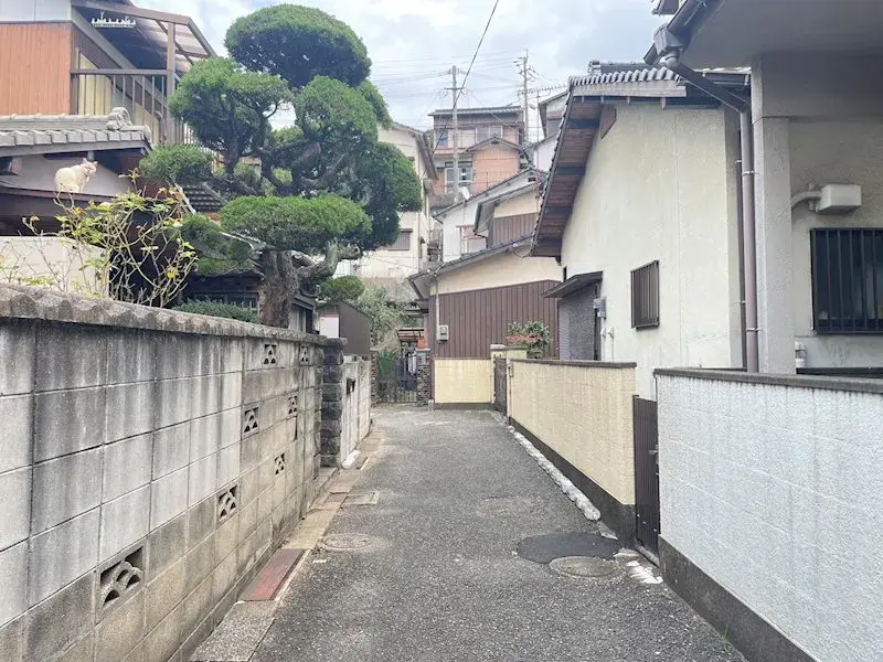 Slide 0