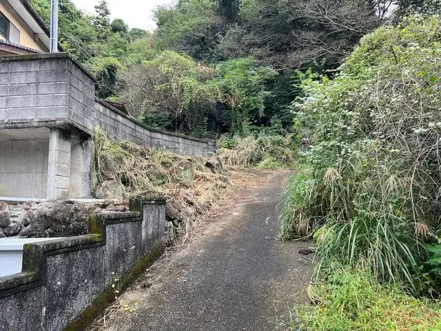 Slide 0
