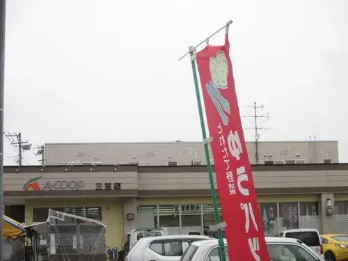 Slide 9