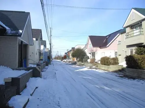 Slide 5