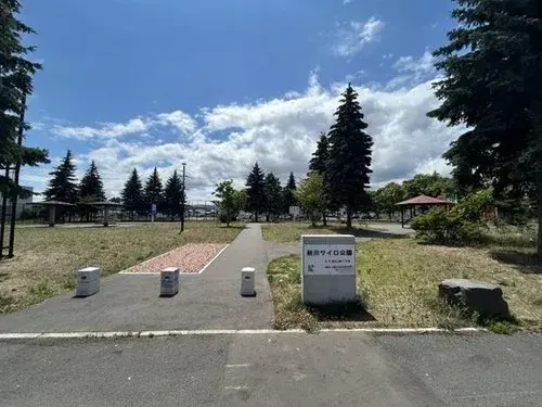 Slide 8