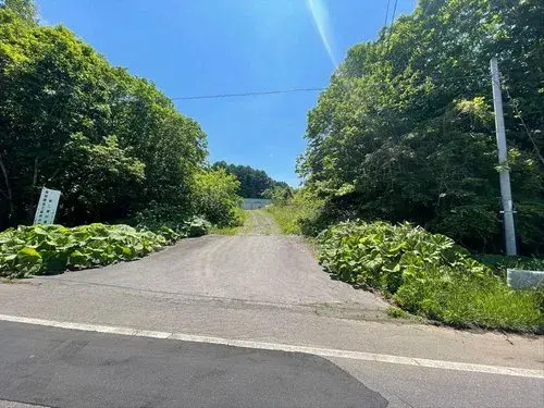 Slide 10