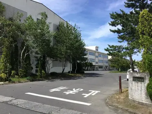 Slide 8