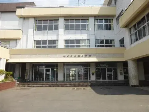 Slide 17