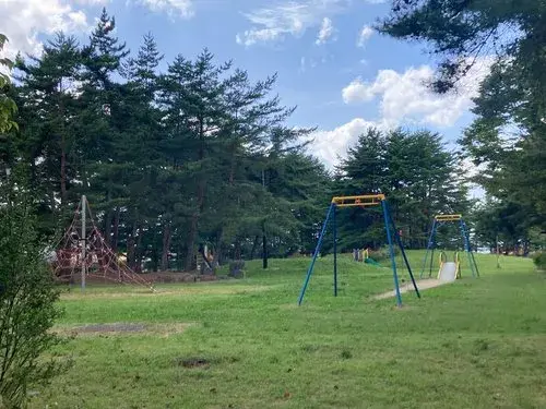 Slide 5