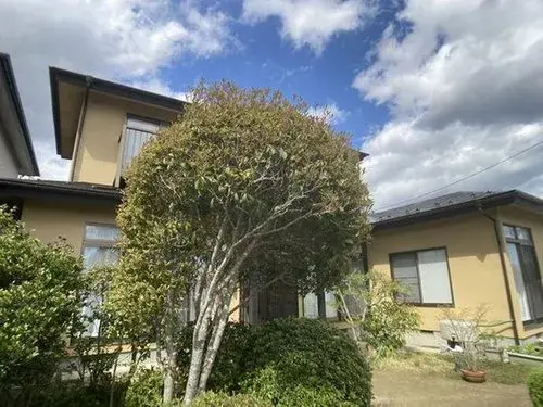 Slide 4