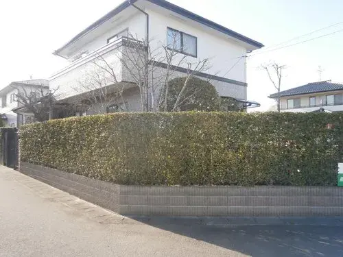 Slide 0