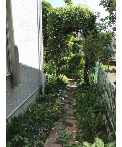 Slide 7