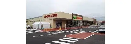 Slide 17