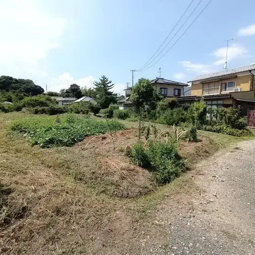 Slide 5