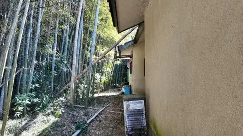 Slide 0