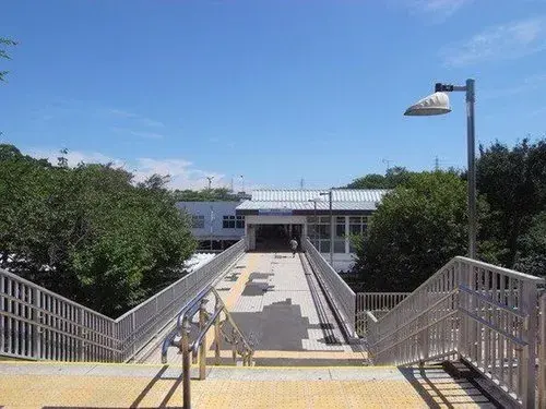 Slide 5