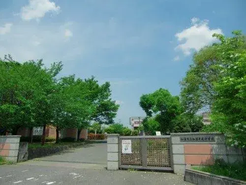 Slide 1