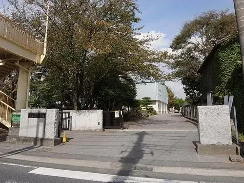 Slide 5