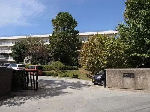 Slide 6