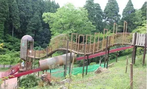 Slide 8