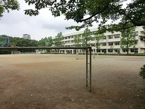 Slide 8