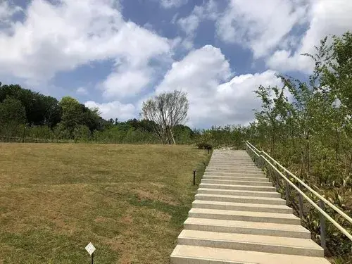 Slide 9