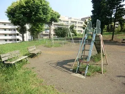 Slide 6