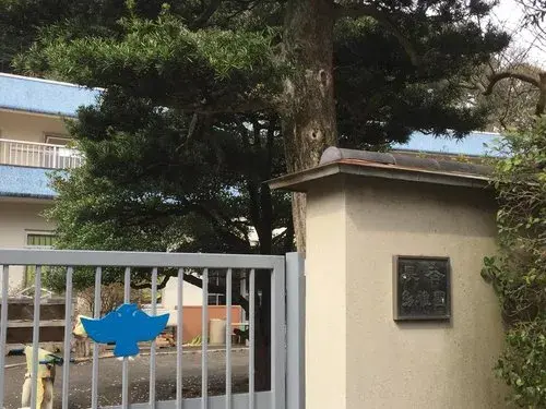 Slide 6
