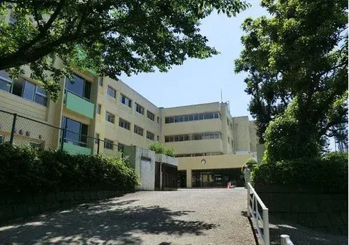 Slide 7