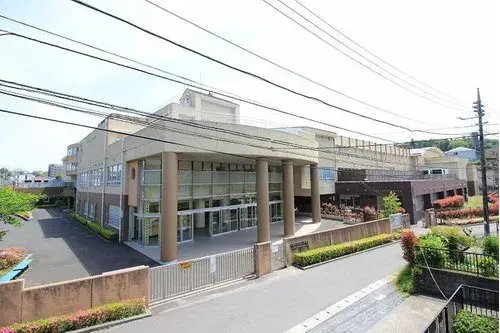 Slide 5