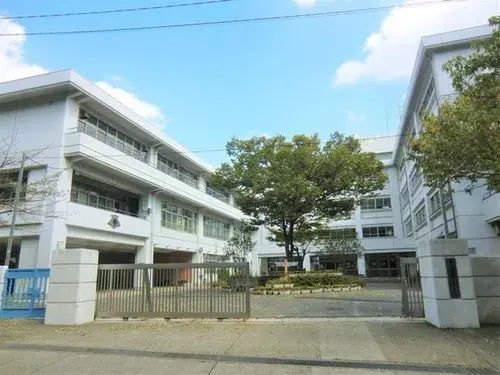 Slide 12