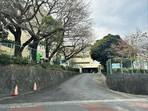Slide 8