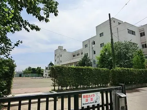 Slide 8