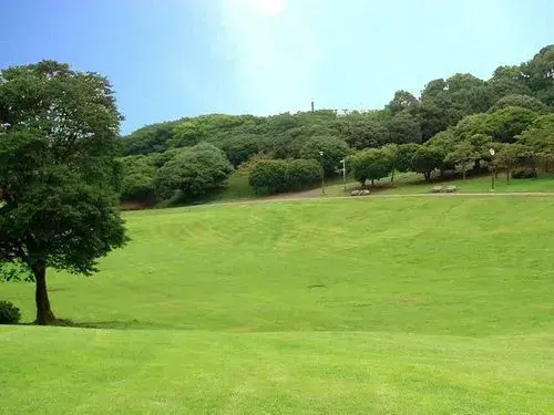 Slide 13