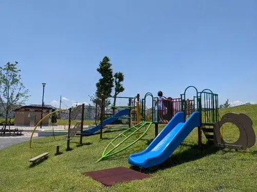 Slide 15