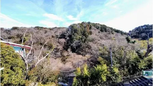 Slide 12