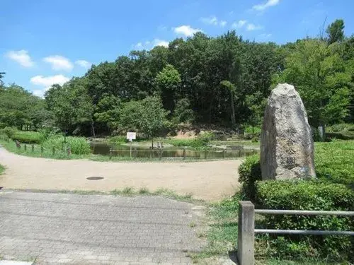 Slide 8
