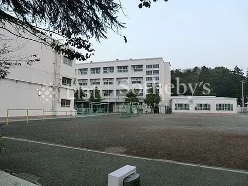 Slide 1