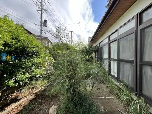 Slide 0