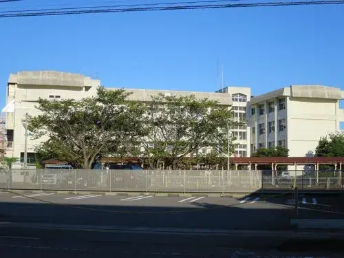 Slide 8