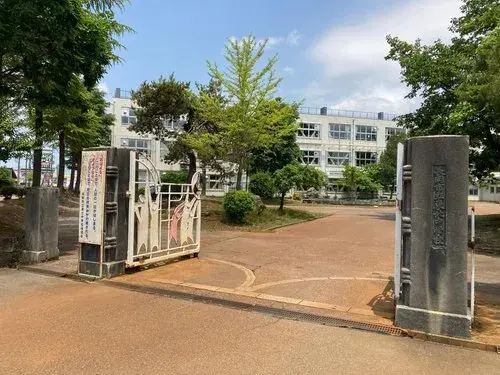 Slide 11