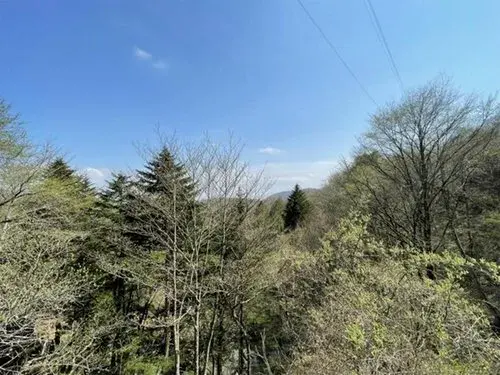 Slide 17