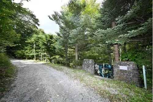 Slide 5