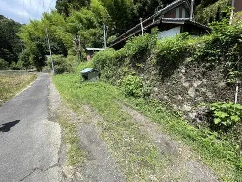 Slide 5