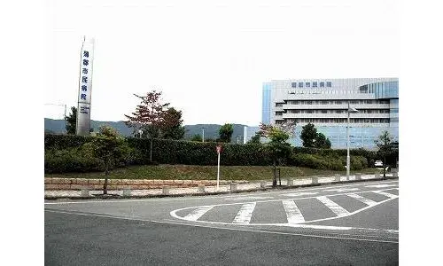 Slide 8